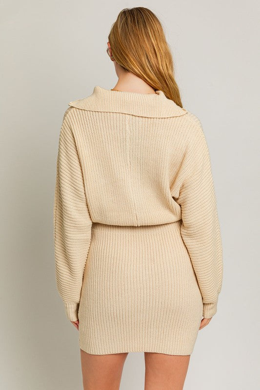 Zippy Sweater Dress