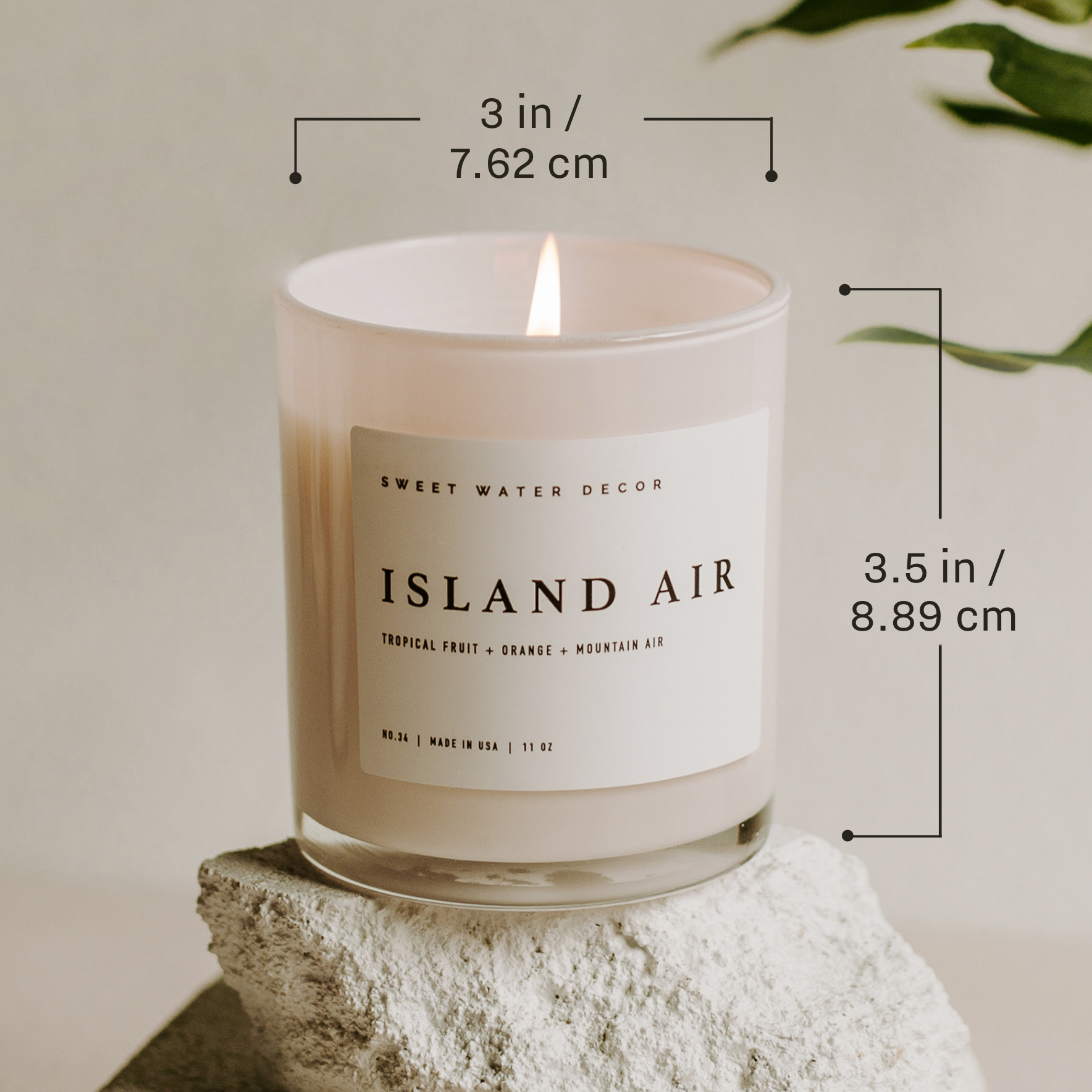 *NEW* Coastal Lemon 11 oz Soy Candle - Home Decor & Gifts