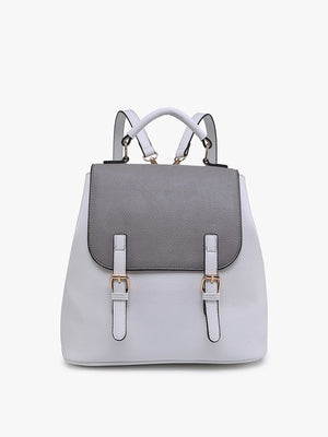 The Brook Backpack Multi Purse