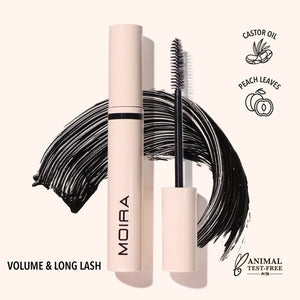 Volume and Long Lash Mascara