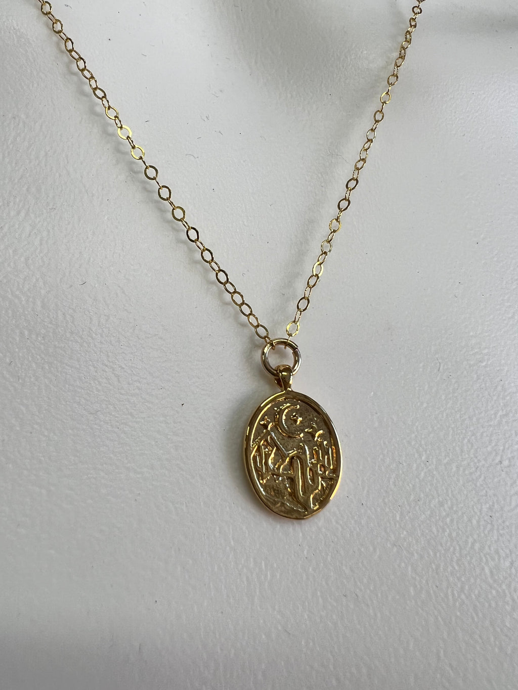 In The Desert Charm Necklace